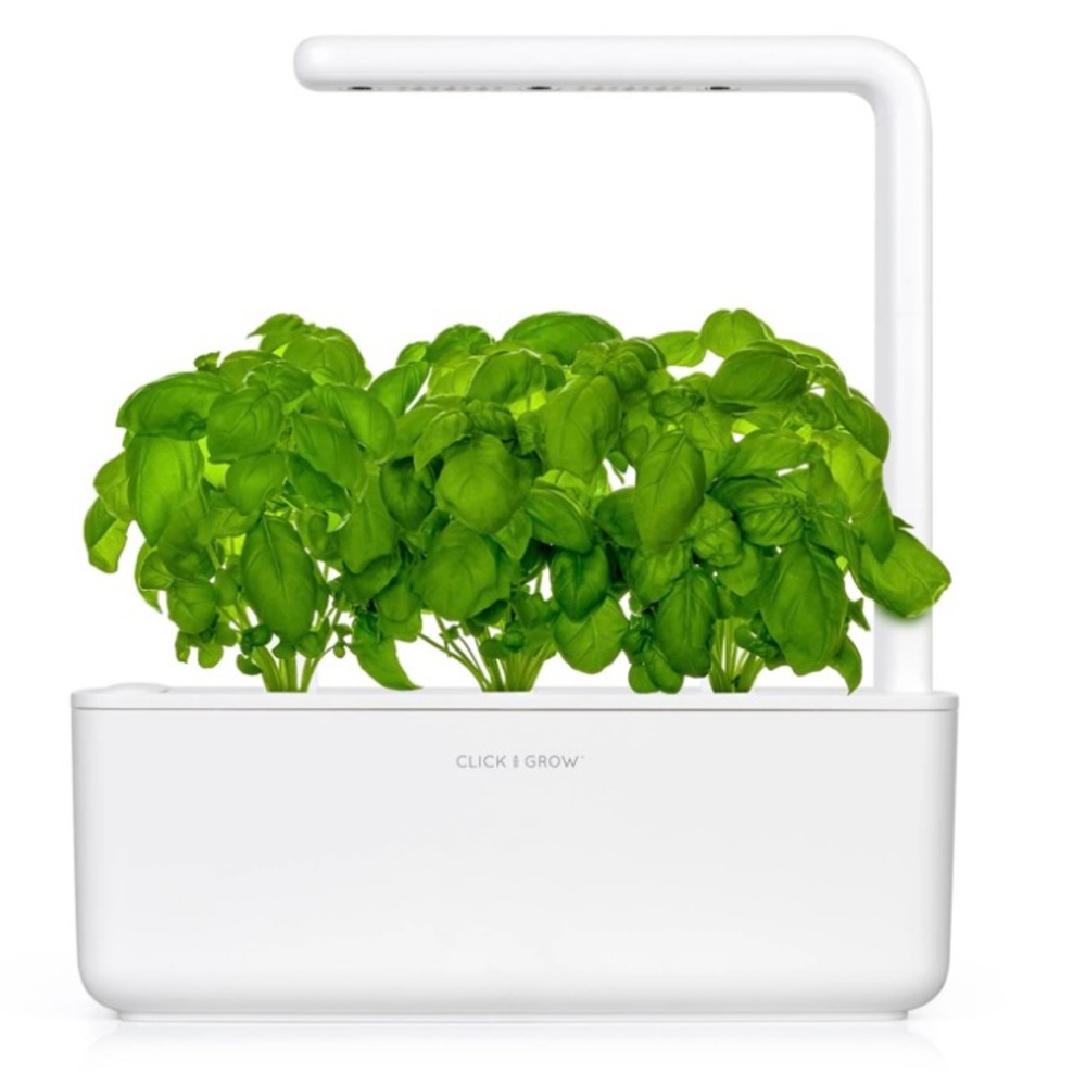 Healthy Resolution!! Grow your own veggies and herbs in a few short weeks.